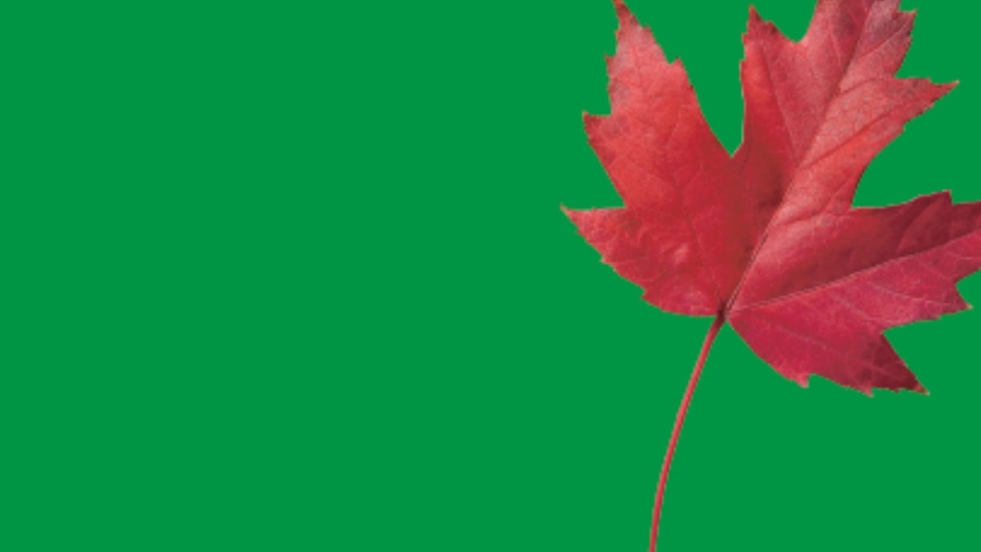 ISO 14001 – Sistema di Gestione Ambientale