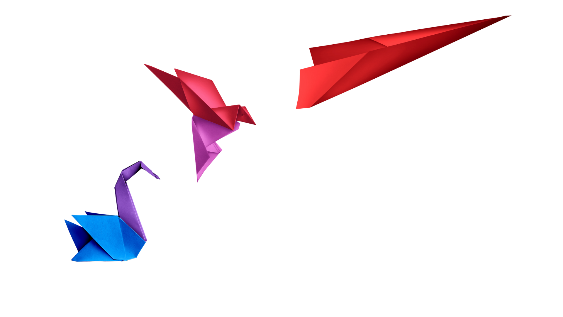 Modelli Organizzativi Aziendali e Sistemi Gestionali